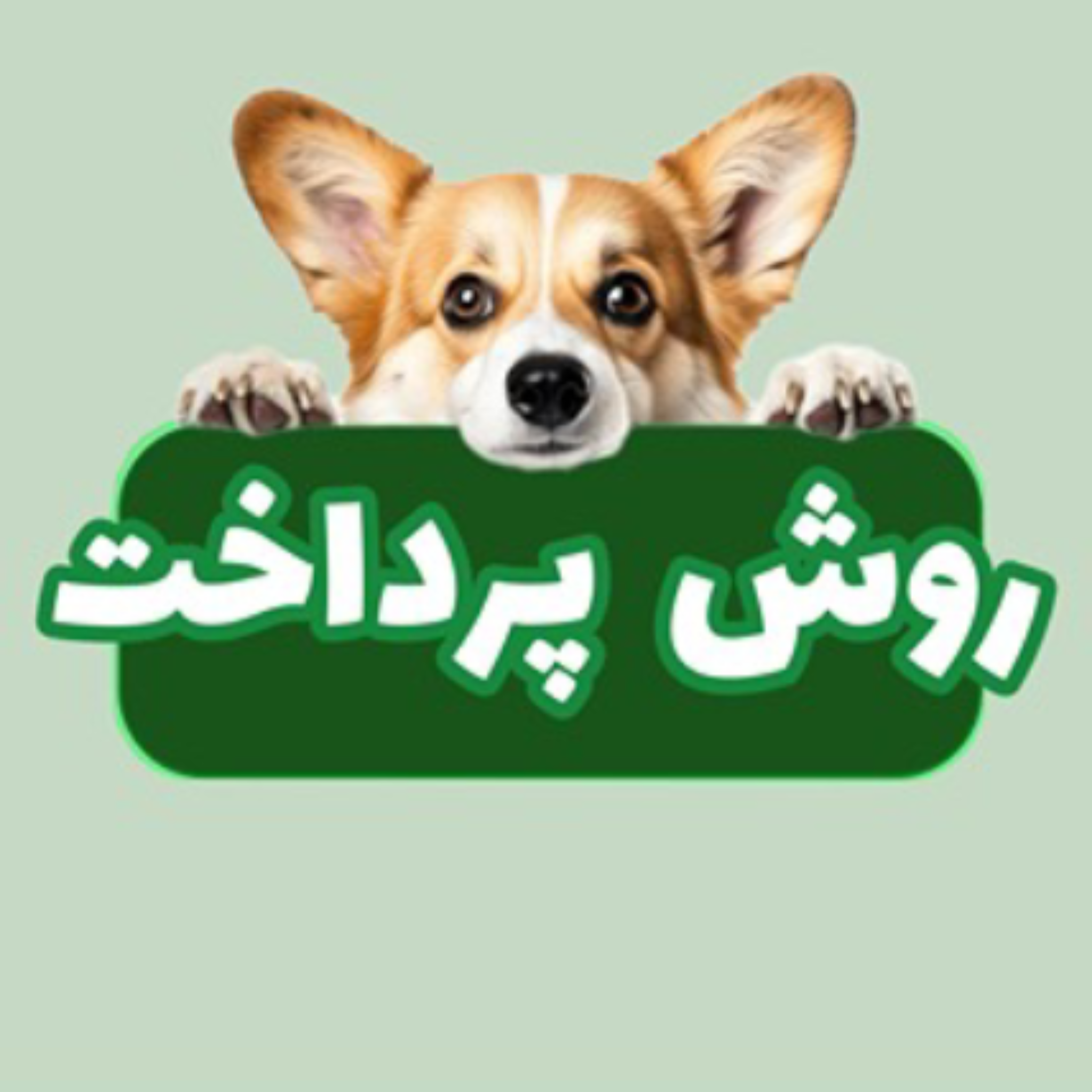 روش های پرداخت