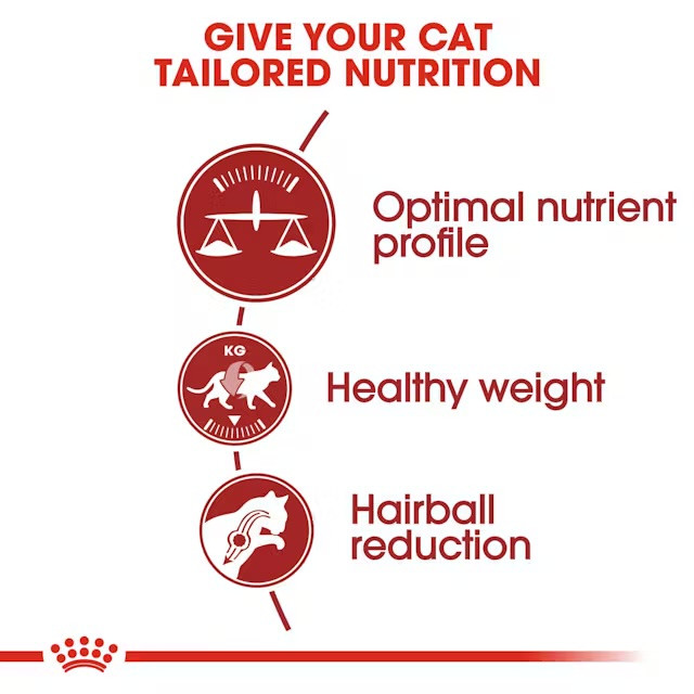 غذای خشک گربه رویال کنین فیت ۳۲ Fit 32 Royal Canin وزن ۲ کیلوگرم