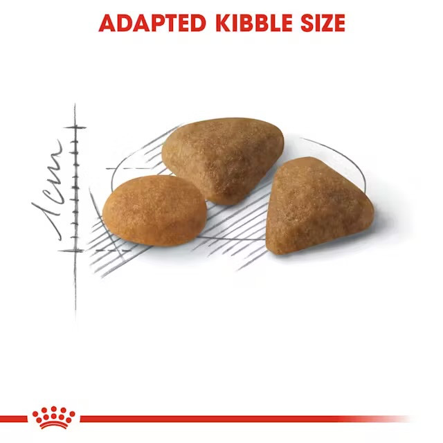 غذای خشک گربه رویال کنین ساور اگزیجنت Royal Canin Savour Exigent وزن ۲ کیلوگرم