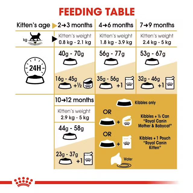 غذای خشک گربه رویال کنین بریتیش شورتهیر Royal Canin British Shorthair وزن ۲ کیلوگرم