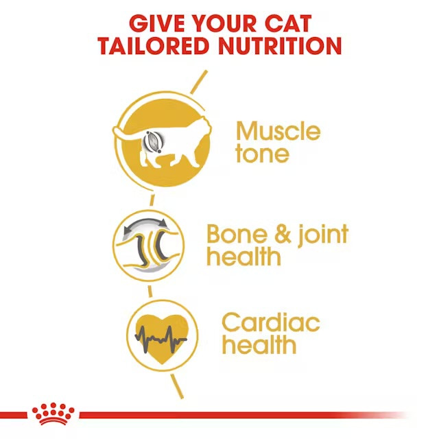 غذای خشک گربه رویال کنین بریتیش شورتهیر Royal Canin British Shorthair وزن ۲ کیلوگرم