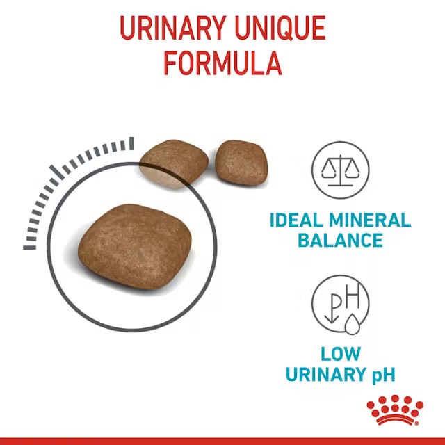 غذای خشک گربه رویال کنین یورینری Royal Canin Urinary Care وزن ۲ کیلوگرم