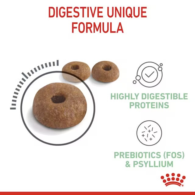غذای خشک گربه رویال کنین دایجستیو کِر Royal Canin Digestive Care وزن ۲ کیلوگرم