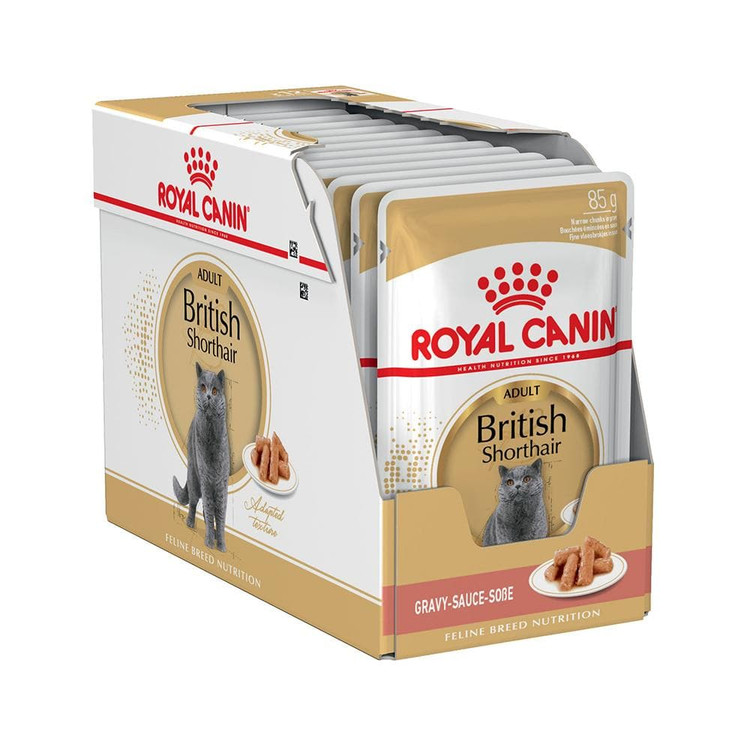 پوچ گربه رویال کنین بریتیش Royal Canin British Shorthair wet cat food وزن 85 گرم