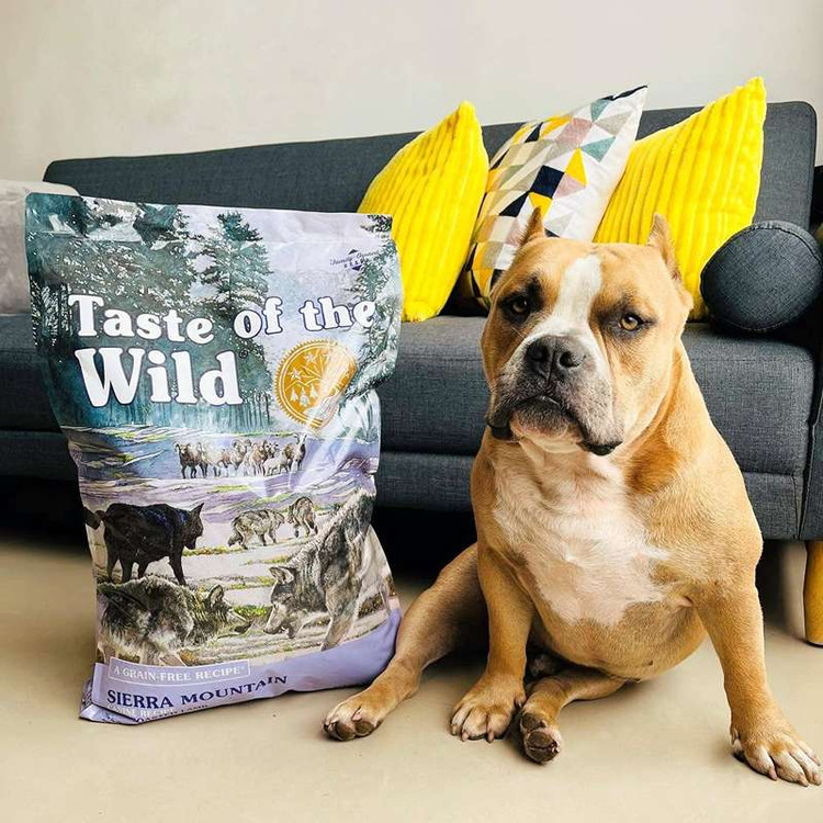 غذای خشک سگ تیست آف د وایلد سیرا مانتین طعم گوشت بره کبابی Taste of the Wild Sierra Mountain وزن 2 کیلوگرم