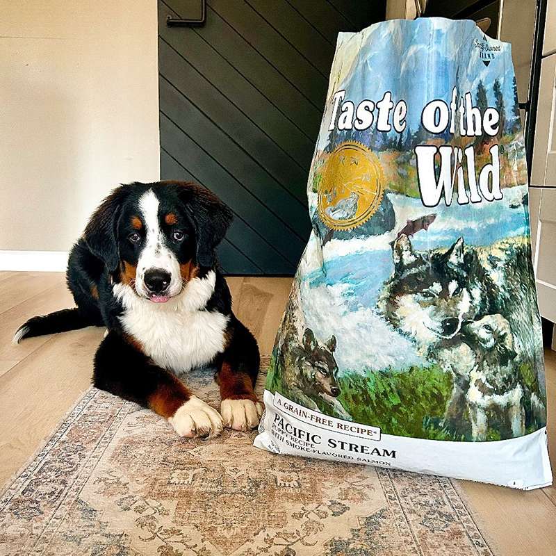 غذای خشک توله سگ تیست آف د وایلد پسفیک استریم طعم سالمون دودی Taste of the Wild Pacific Stream Puppy وزن 2 کیلوگرم