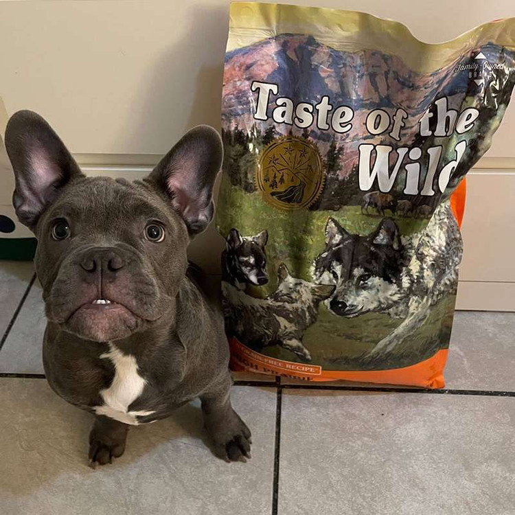 غذای خشک توله سگ تیست آف د وایلد های پریری طعم گاومیش و گوزن کبابی Taste of the Wild High Prairie Puppy وزن 2 کیلوگرم