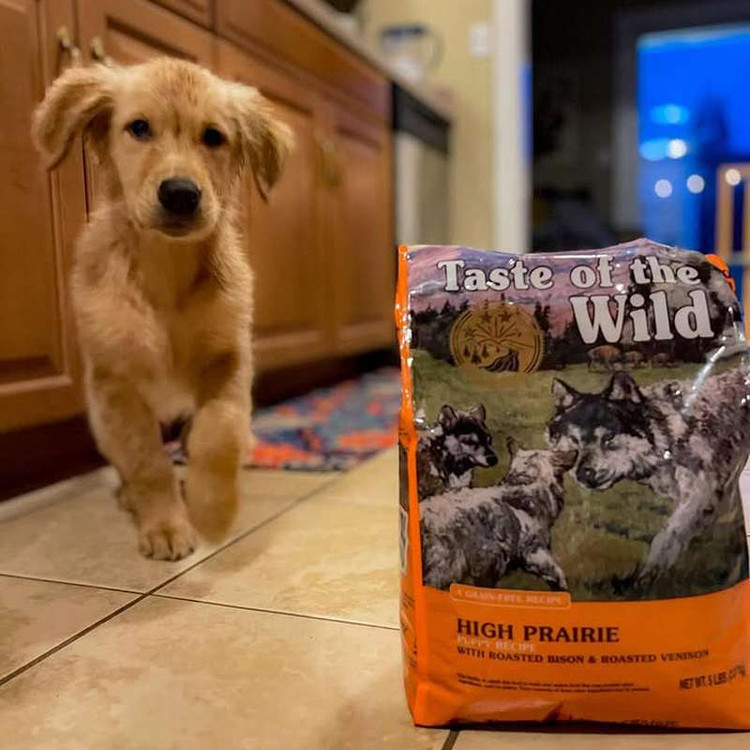 غذای خشک توله سگ تیست آف د وایلد های پریری طعم گاومیش و گوزن کبابی Taste of the Wild High Prairie Puppy وزن 2 کیلوگرم