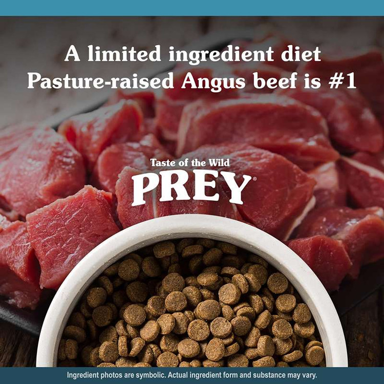 غذای خشک سگ تیست آف د وایلد آنگوس بیف طعم گوشت گاو Taste of the Wild Angus Beef وزن 2 کیلوگرم
