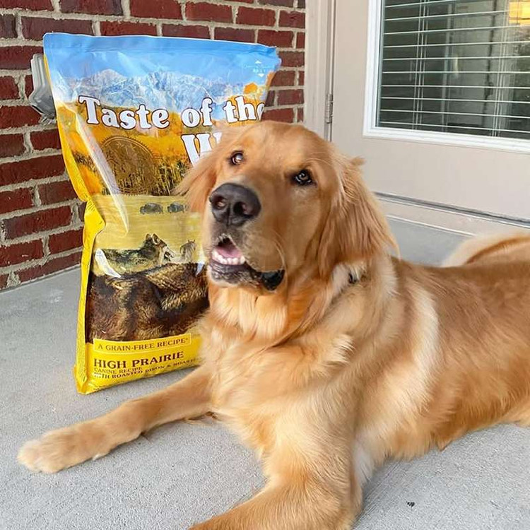 غذای خشک سگ تیست آف د وایلد های پریری طعم گاومیش و گوزن کبابی Taste of the Wild High Prairie وزن 2 کیلوگرم