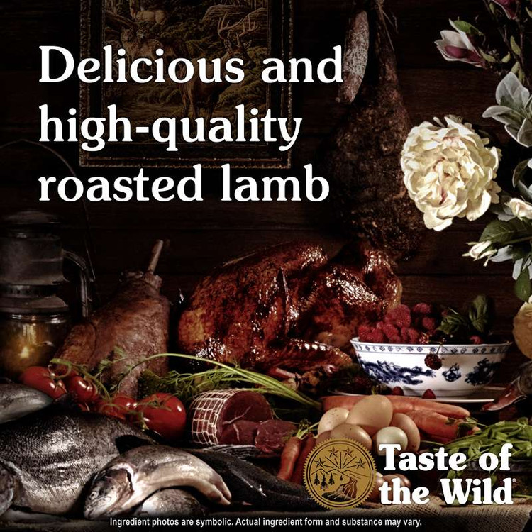 غذای خشک سگ تیست آف د وایلد آنسینت مانتین طعم گوشت بره کبابی Taste of the Wild Ancient Mountain وزن 2 کیلوگرم