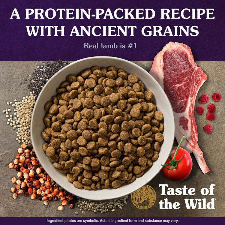 غذای خشک سگ تیست آف د وایلد آنسینت مانتین طعم گوشت بره کبابی Taste of the Wild Ancient Mountain وزن 2 کیلوگرم