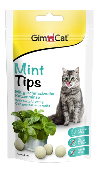 قرص مکمل گربه جیم کت نعنا Gimcat Mint Flavor Tablets وزن 40 گرم