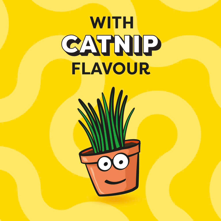 تشویقی گربه دریمیز طعم کت نیپ Dreamies Cat Treats Catnip Flavor وزن ۶۰ گرم
