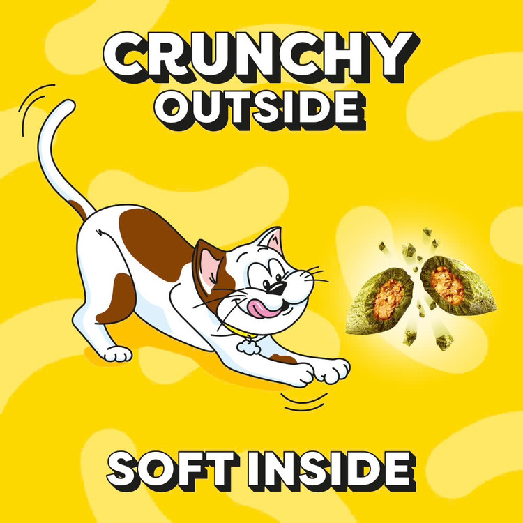 تشویقی گربه دریمیز طعم کت نیپ Dreamies Cat Treats Catnip Flavor وزن ۶۰ گرم