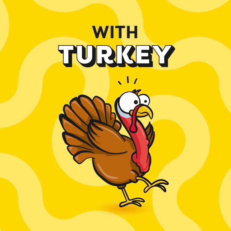 تشویقی گربه دریمیز طعم بوقلمون Dreamies Cat Treats Turkey Flavor وزن ۶۰ گرم