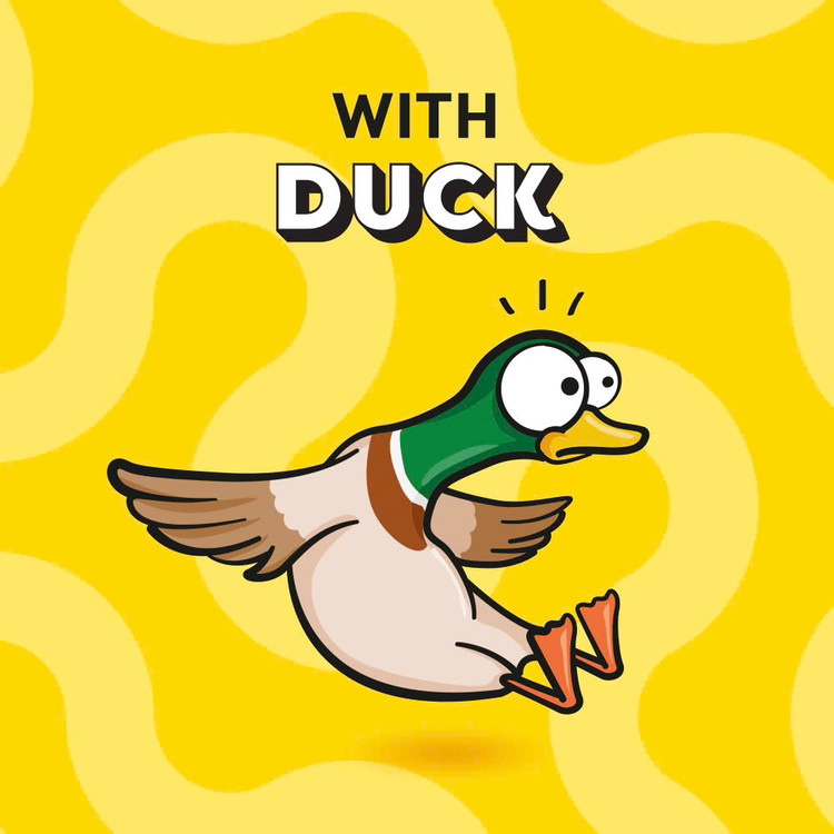 تشویقی گربه دریمیز طعم اردک Dreamies Cat Treats Duck Flavor وزن ۶۰ گرم