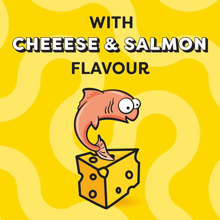تشویقی گربه دریمیز طعم ماهی و پنیر Dreamies Cat Treats Fish & Cheese Flavor وزن ۶۰ گرم
