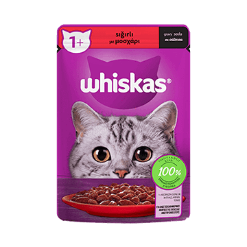 پوچ گربه ویسکاس طعم گوشت گاو Whiskas Cat Wet Food Beef Flavor وزن 85 گرم