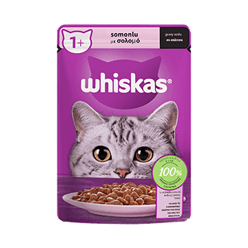 پوچ گربه ویسکاس طعم ماهی سالمون Whiskas Cat Wet Food Salmon Flavor وزن 85 گرم
