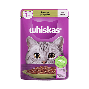 پوچ گربه ویسکاس طعم گوشت بره Whiskas Cat Wet Food Lamb Flavor وزن 85 گرم
