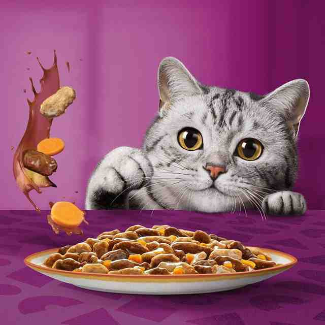 پوچ گربه ویسکاس تیستی میکس طعم سالمون و هویج Whiskas Tasty Mix Salmon & Carrot Flavor وزن 85 گرم