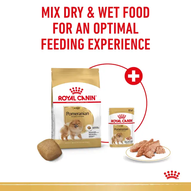 غذای خشک سگ رویال کنین پامرانیین Royal Canin Dog Pomeranian dry food وزن 1.5 کیلوگرم