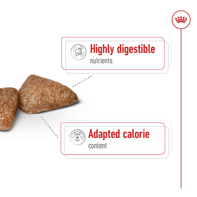 غذای خشک سگ رویال کنین مینی ایندور ادالت Royal Canin Dog Mini Indoor Adult dry food وزن 1.5 کیلوگرم