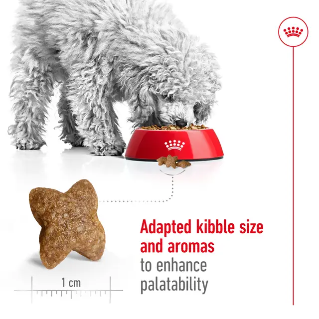 غذای خشک سگ رویال کنین مینی ادالت Royal Canin Dog Mini Adult dry food وزن 2 کیلوگرم