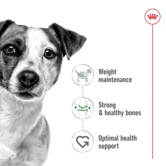 غذای خشک سگ رویال کنین مینی ادالت Royal Canin Dog Mini Adult dry food وزن 2 کیلوگرم