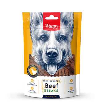 تشویقی سگ ونپی مدل استیک گوشت گاو Wanpy Dog Treat Beef Steak وزن 100 گرم