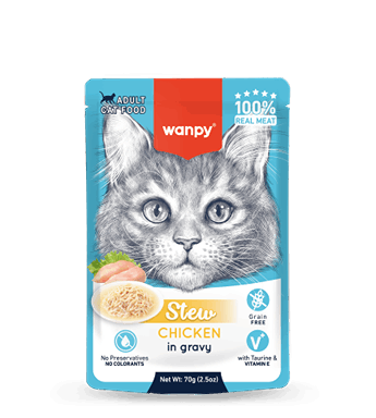 پوچ خورشتی گربه ونپی طعم مرغ Wanpy Cat Gravy Wet Food Chicken Flavor وزن 75 گرم