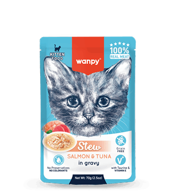 پوچ خورشتی بچه گربه ونپی طعم ماهی تن و سالمون Wanpy Cat Gravy Kitten Wet Food Tuna & Salmon Flavor وزن 75 گرم