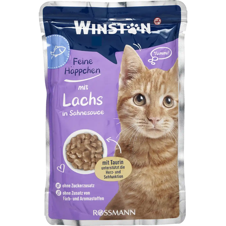 پوچ گربه وینستون طعم ماهی سالمون Winston Cat Wet Food Salmon Flavor وزن 100 گرم
