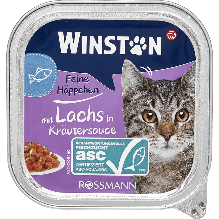 غذای کاسه ای گربه وینستون طعم ماهی سالمون در سس هویج Winston Cat Wet Food Salmon fish in carrot sauce Flavor وزن 100 گرم
