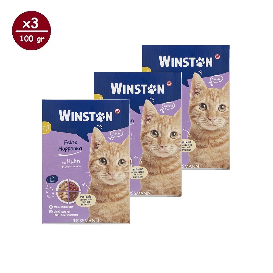 پوچ گربه وینستون مدل چهار طعم در سس Winston Cat Wet Food Multi Flavor in Sauce بسته ۱۲ عددی