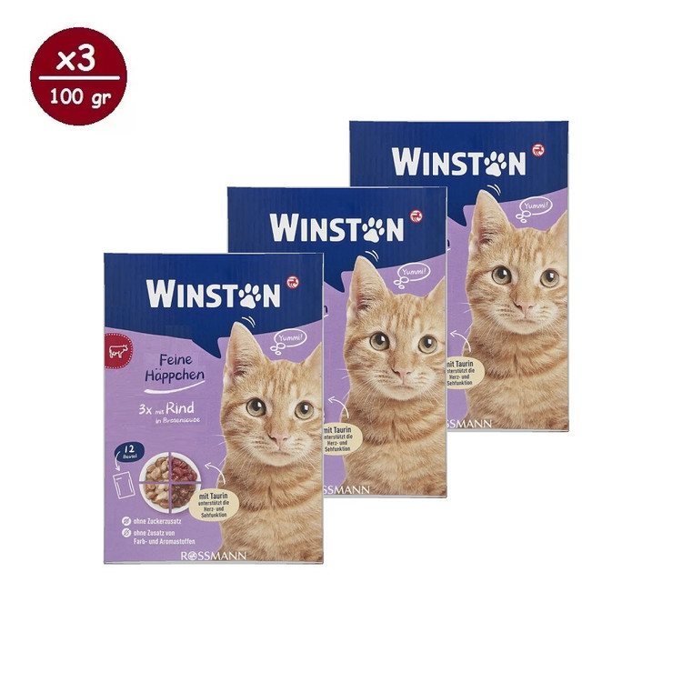پوچ گربه وینستون مدل چهار طعم در سس Winston Cat Wet Food Multi Flavor in Sauce بسته ۱۲ عددی