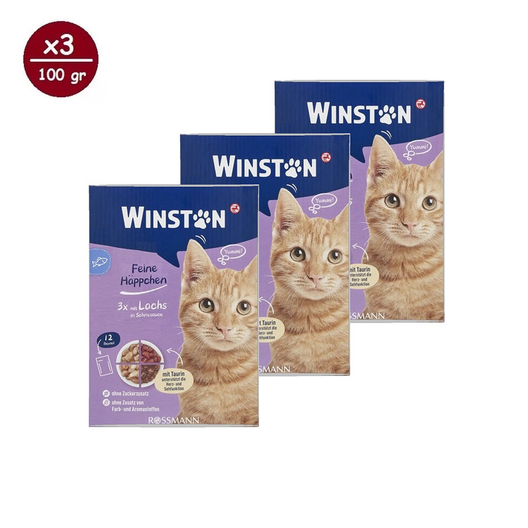پوچ گربه وینستون مدل چهار طعم در سس Winston Cat Wet Food Multi Flavor in Sauce بسته ۱۲ عددی