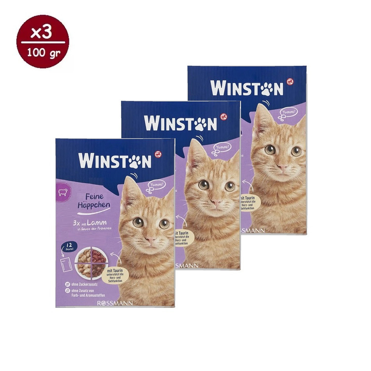 پوچ گربه وینستون مدل چهار طعم در سس Winston Cat Wet Food Multi Flavor in Sauce بسته ۱۲ عددی