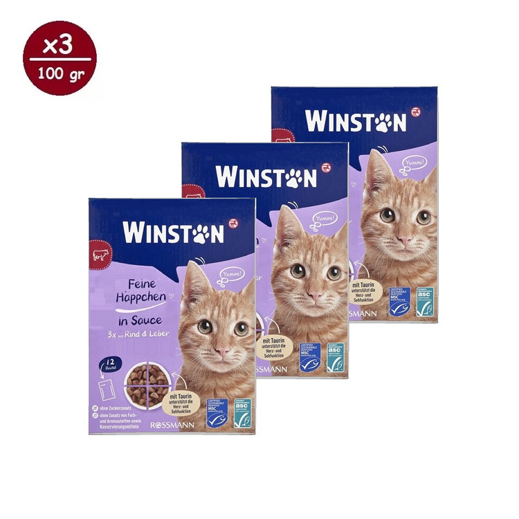 پوچ گربه وینستون مدل گروی چهار طعم در سس Winston Cat Wet Food Gravy Multi Flavor in Sauce بسته ۱۲ عددی