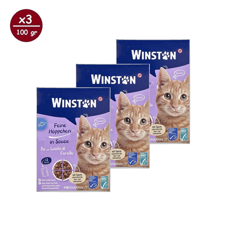 پوچ گربه وینستون مدل گروی چهار طعم در سس Winston Cat Wet Food Gravy Multi Flavor in Sauce بسته ۱۲ عددی