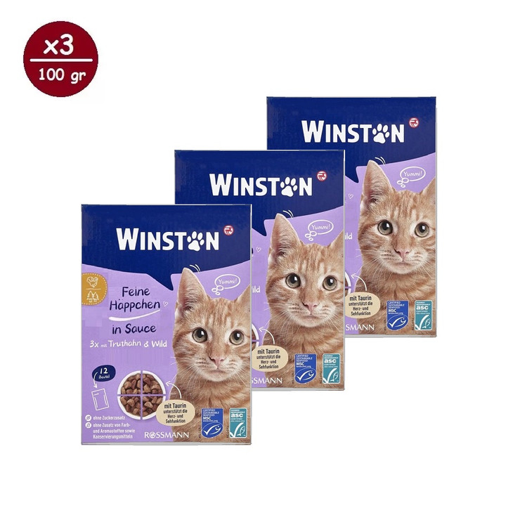 پوچ گربه وینستون مدل گروی چهار طعم در سس Winston Cat Wet Food Gravy Multi Flavor in Sauce بسته ۱۲ عددی