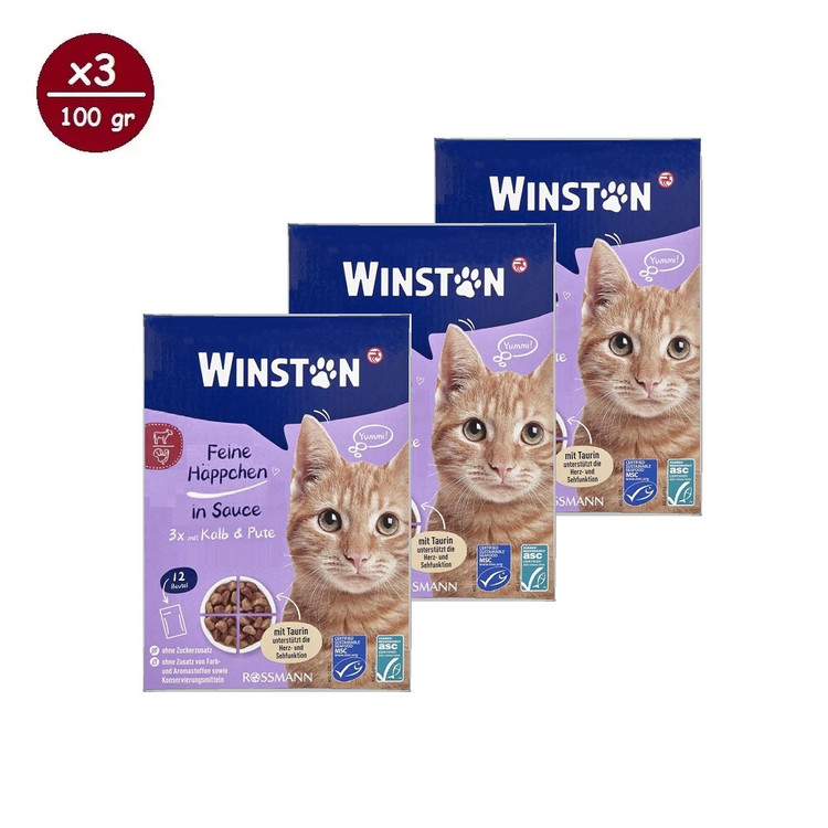 پوچ گربه وینستون مدل گروی چهار طعم در سس Winston Cat Wet Food Gravy Multi Flavor in Sauce بسته ۱۲ عددی