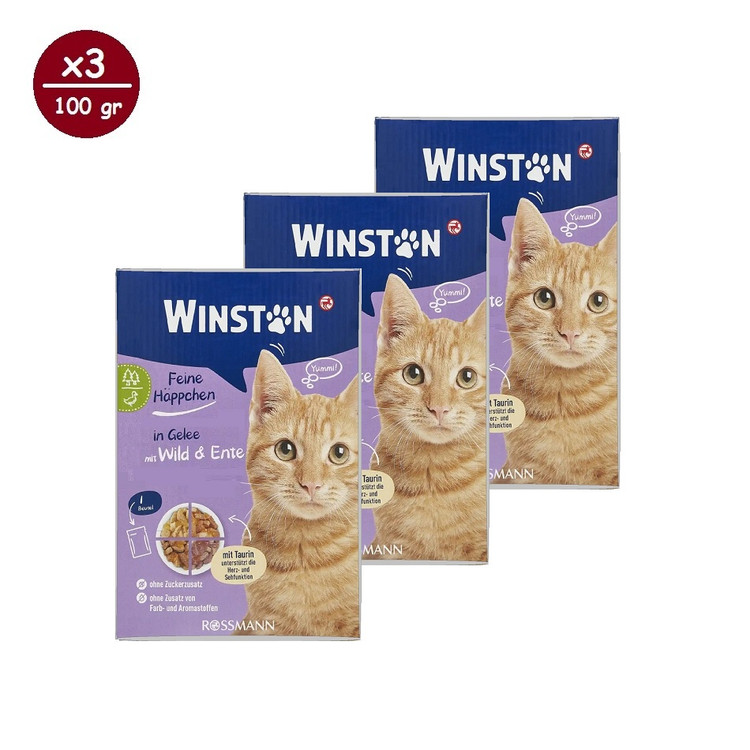 پوچ گربه وینستون مدل چهار طعم در ژله Winston Cat Wet Food Multi Flavor in Jelly بسته ۱۲ عددی