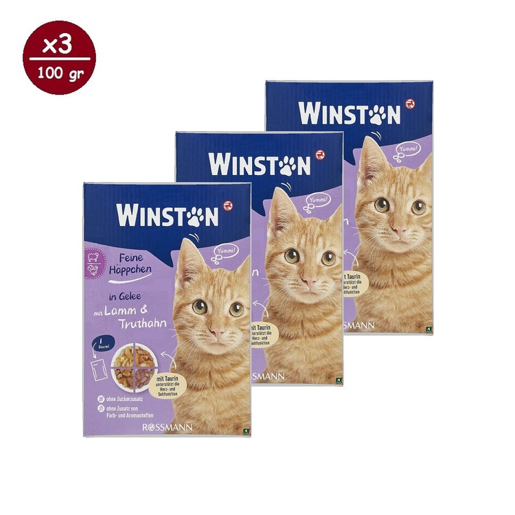 پوچ گربه وینستون مدل چهار طعم در ژله Winston Cat Wet Food Multi Flavor in Jelly بسته ۱۲ عددی