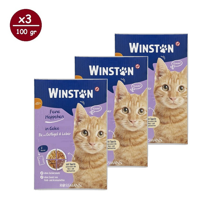 پوچ گربه وینستون مدل چهار طعم در ژله Winston Cat Wet Food Multi Flavor in Jelly بسته ۱۲ عددی