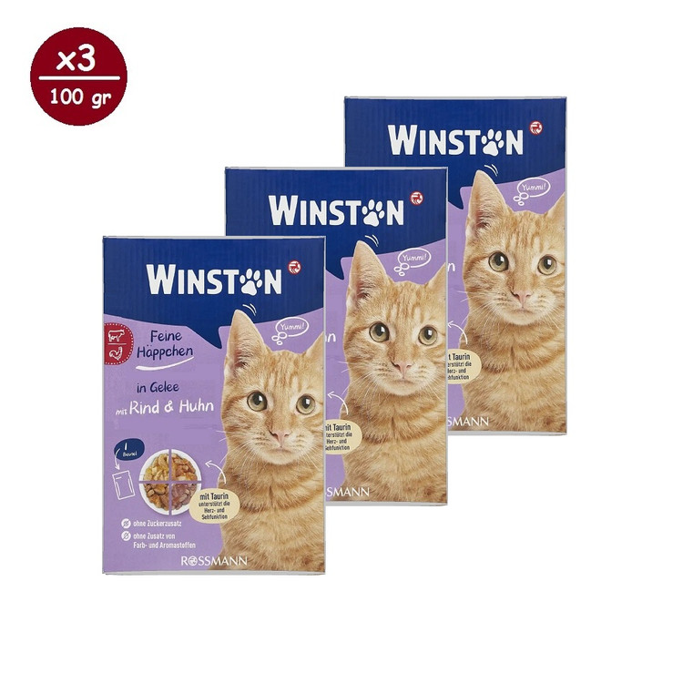 پوچ گربه وینستون مدل چهار طعم در ژله Winston Cat Wet Food Multi Flavor in Jelly بسته ۱۲ عددی