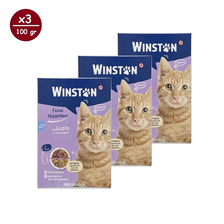 پوچ گربه وینستون مدل مولتی پک چهار طعم در ژله Winston Cat Wet Food Gravy Multi Flavor in Jelly بسته ۱۲ عددی