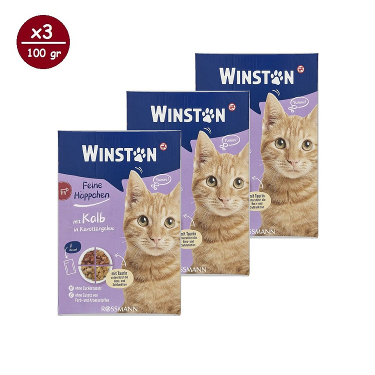 پوچ گربه وینستون مدل مولتی پک چهار طعم در ژله Winston Cat Wet Food Gravy Multi Flavor in Jelly بسته ۱۲ عددی