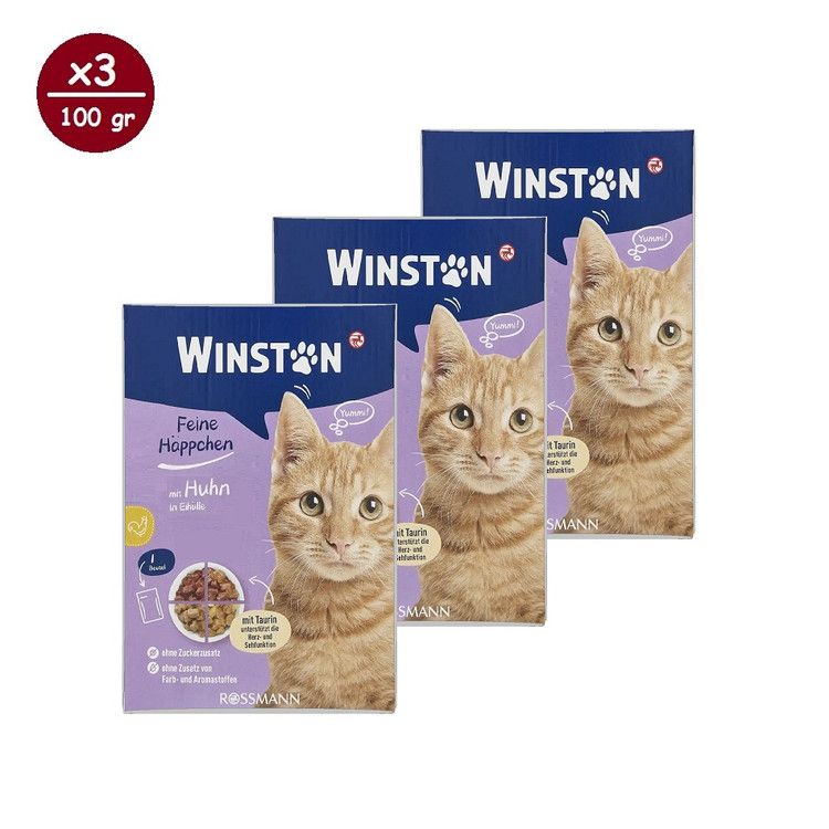 پوچ گربه وینستون مدل مولتی پک چهار طعم در ژله Winston Cat Wet Food Gravy Multi Flavor in Jelly بسته ۱۲ عددی